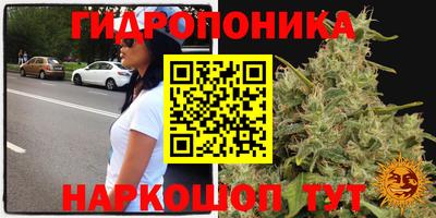 СК Гусь-Хрустальный