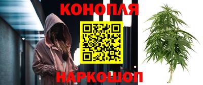трава Донецк