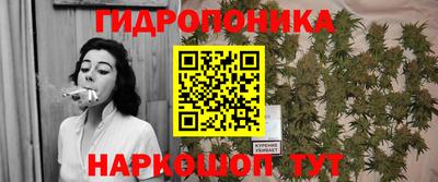 трава Донецк