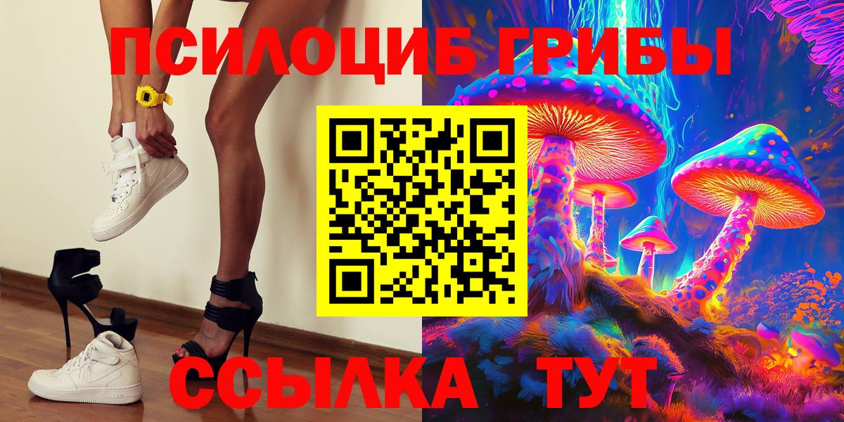 Псилоцибиновые грибы Cubensis Нововоронеж