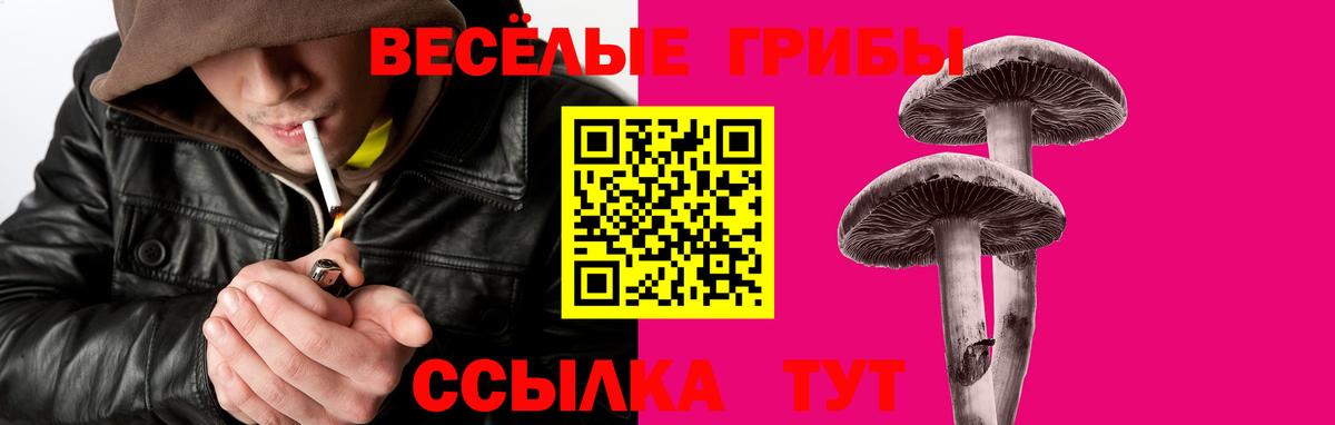 Нововоронеж  Гашиш  Канабис  Вход с VPN  МЕФ  